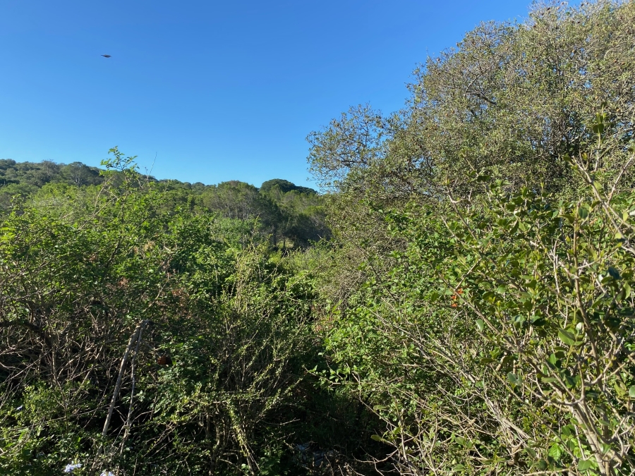 0 Bedroom Property for Sale in Bathurst Eastern Cape